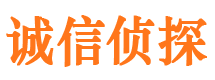 文安侦探公司